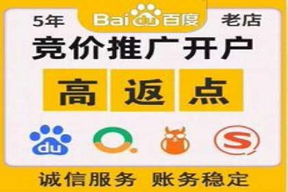 百度SEO推广公司案例精选：揭秘关键词优化策略